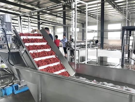 果汁飲料行業增長趨勢放緩 “共享工廠”成大勢所趨 果汁飲料行業增長趨勢放緩 “共享工廠”成大勢所趨